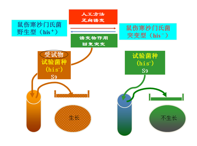 微信圖片_20190718110516